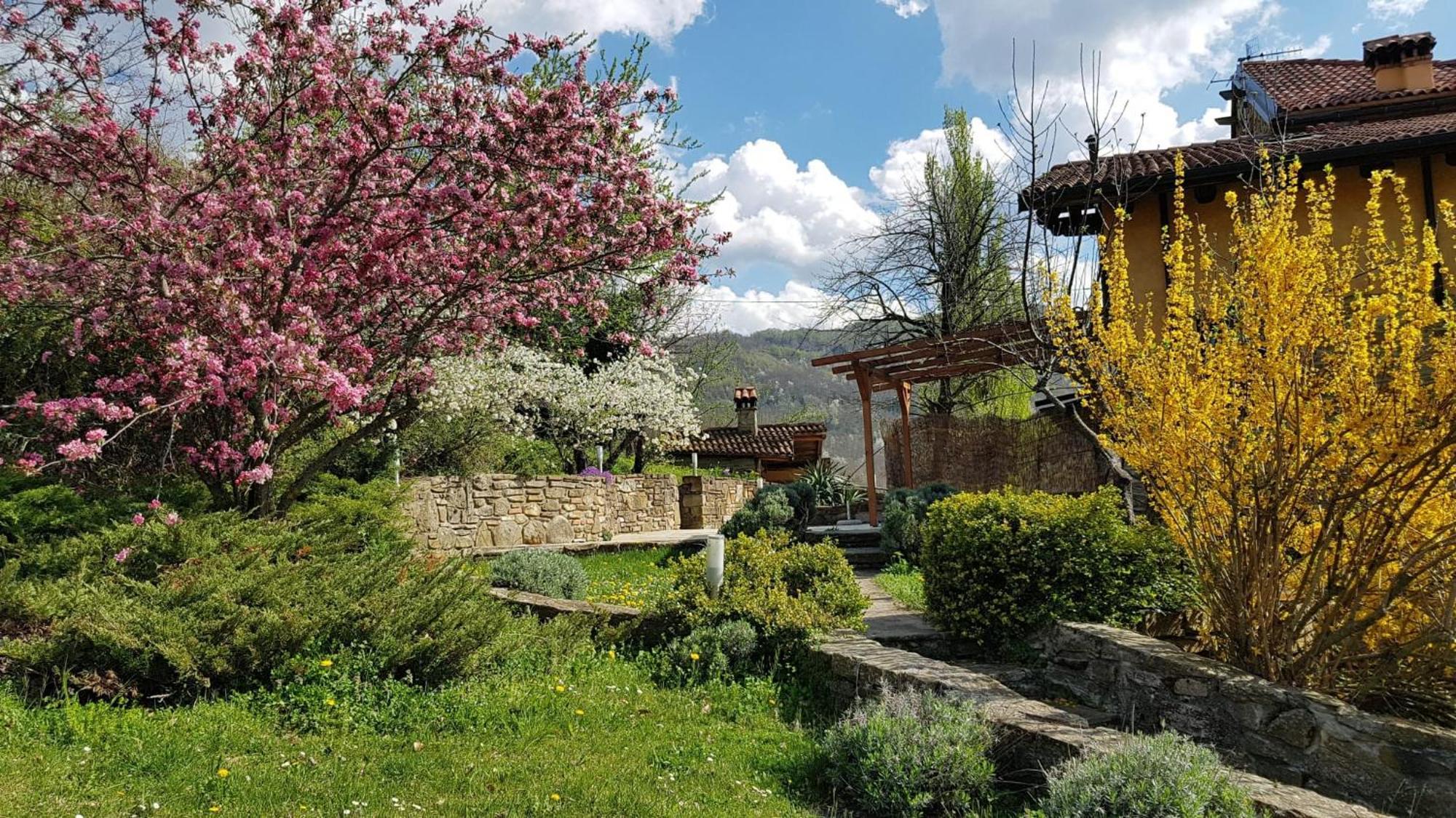 Agriturismo Fattoria Ca Di Sole San Benedetto Val di Sambro Екстериор снимка